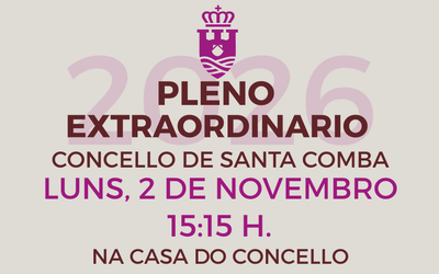 PLENO EXTRAORDINARIO 02/11/2026